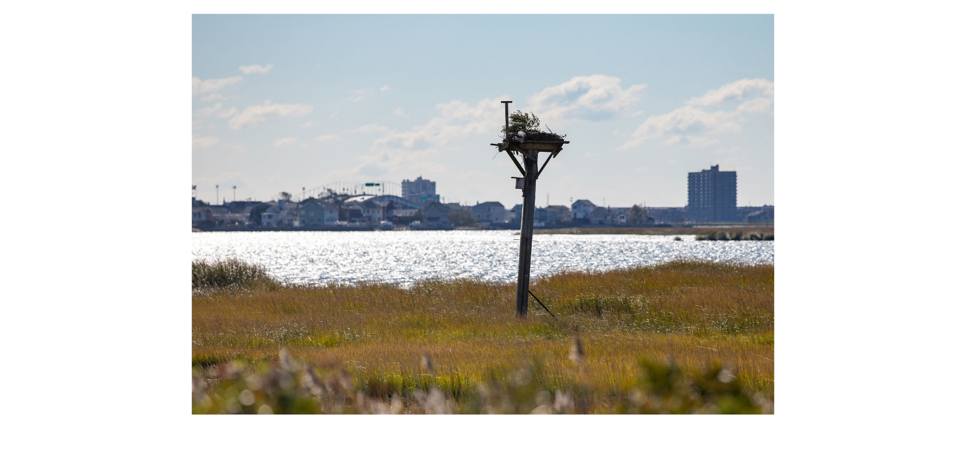 Historic Outfall